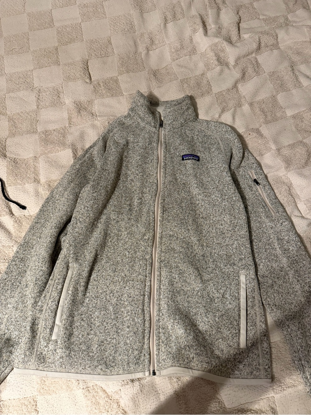 Patagonia Men's Light Gray Full-Zip Fleece Jacket